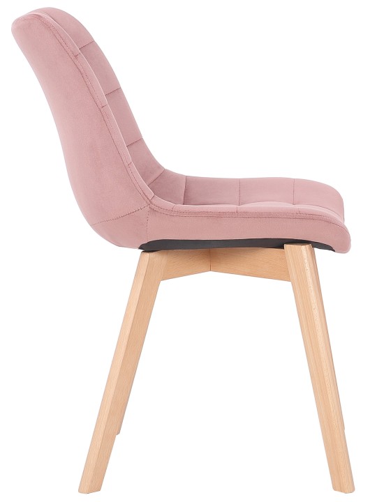Silla de comedor Passaic terciopelo, rosa