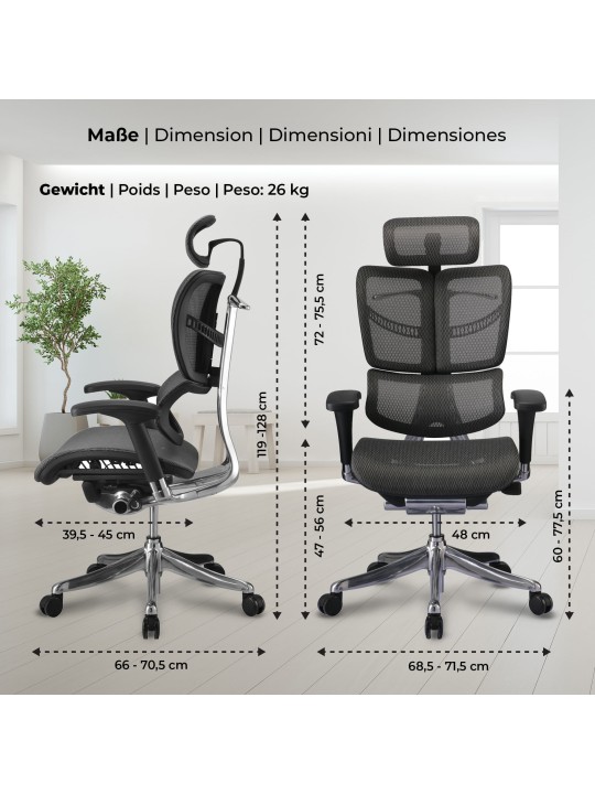 Silla de oficina Norfolk Ergonómica, gris