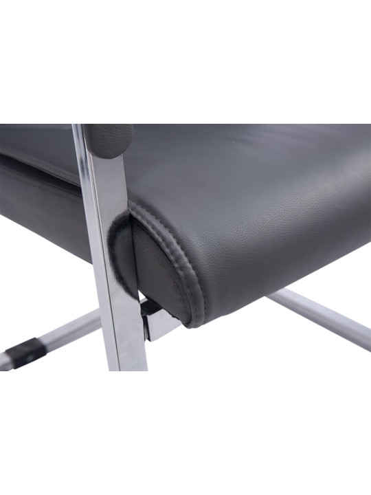 Conjunto de 2 sillas voladizas XL Anubis, gris Conjunto de 2 sillas voladizas XL Anubis, gris