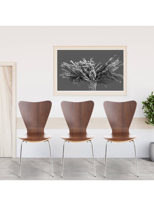 Juego de 2 sillas de visita Calisto, nogal