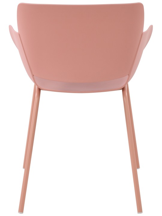 Silla Alpena, rosa Silla Alpena, rosa